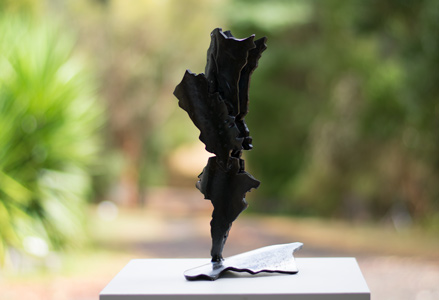 Click to enlarge image