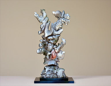 Click to enlarge image